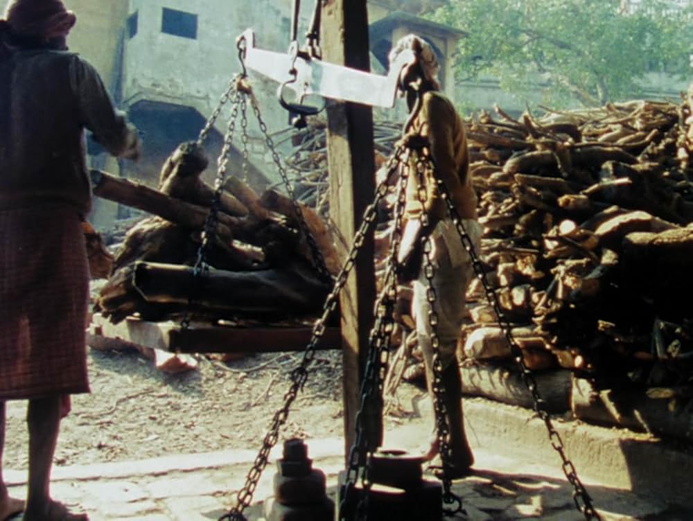 Forest of Bliss（原題）の画像