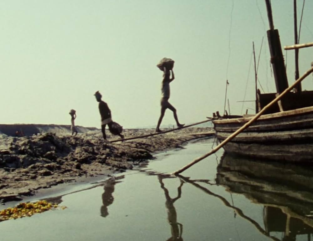 Forest of Bliss（原題）の画像