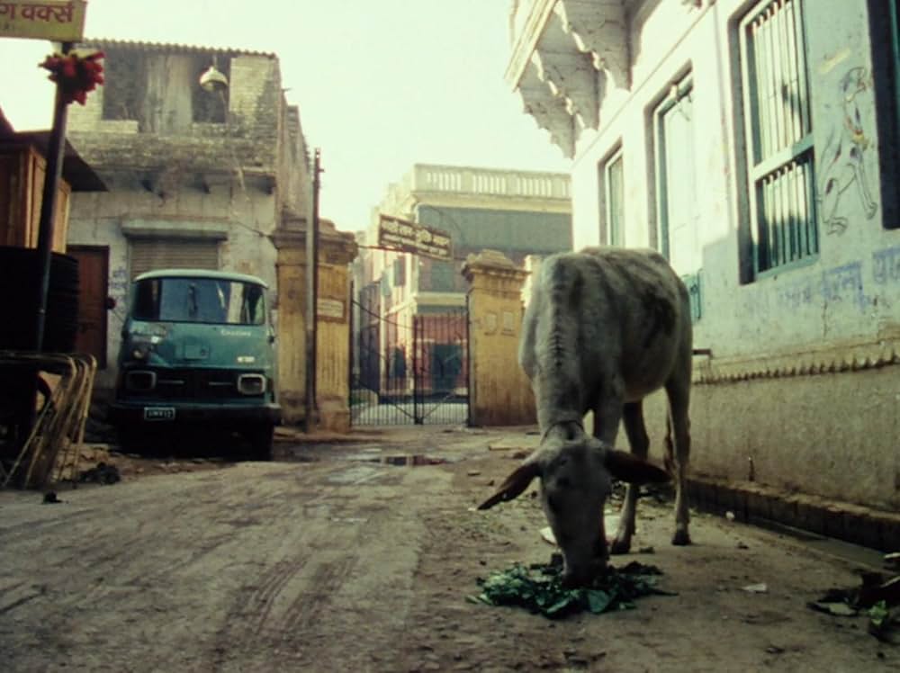 Forest of Bliss（原題）の写真