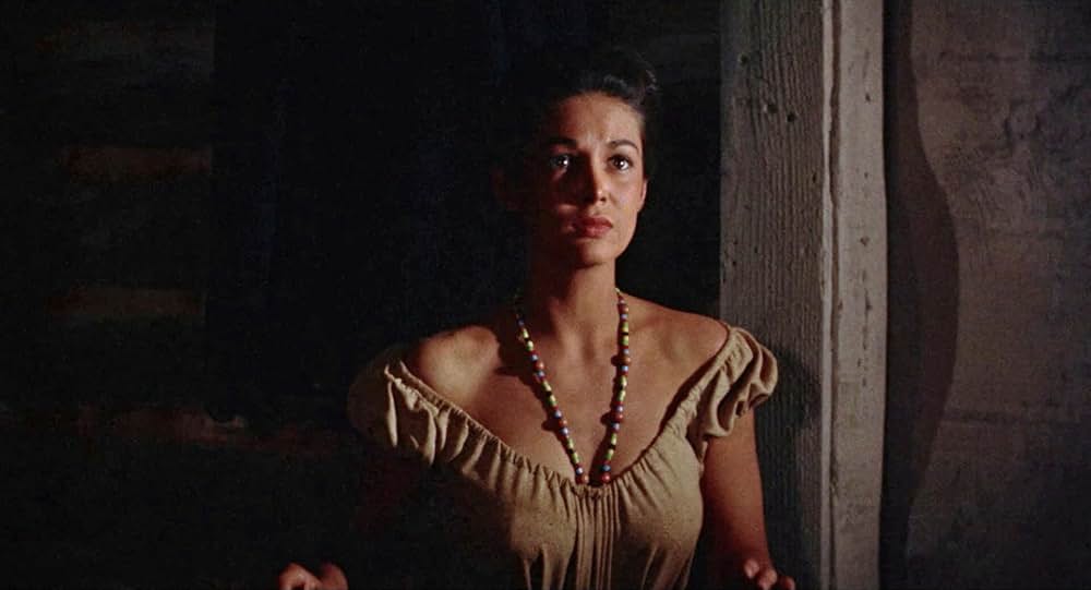 決戦アパッチ砦の画像