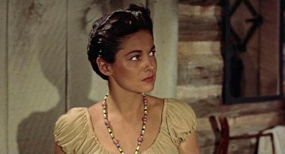 決戦アパッチ砦の画像