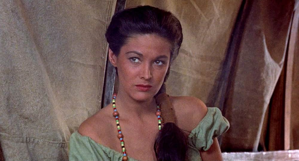 決戦アパッチ砦の画像