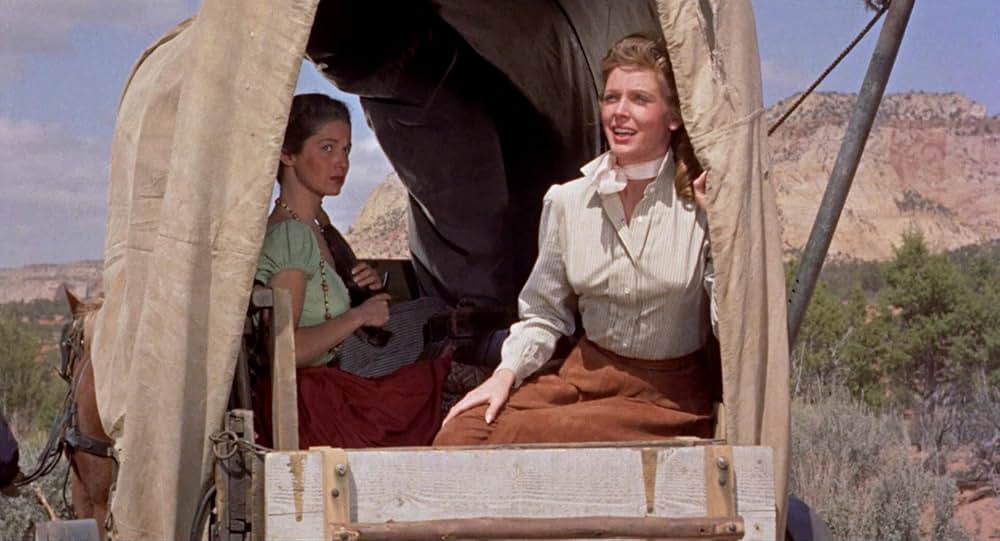 決戦アパッチ砦の画像