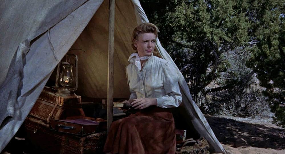 決戦アパッチ砦の画像