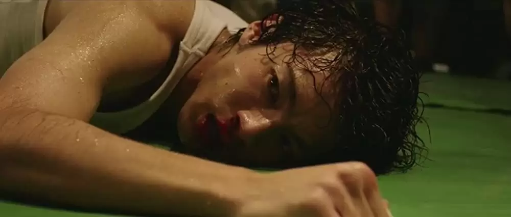 あの頃、君を追いかけたの画像