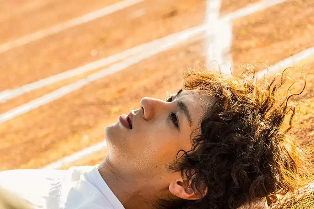 あの頃、君を追いかけたの画像