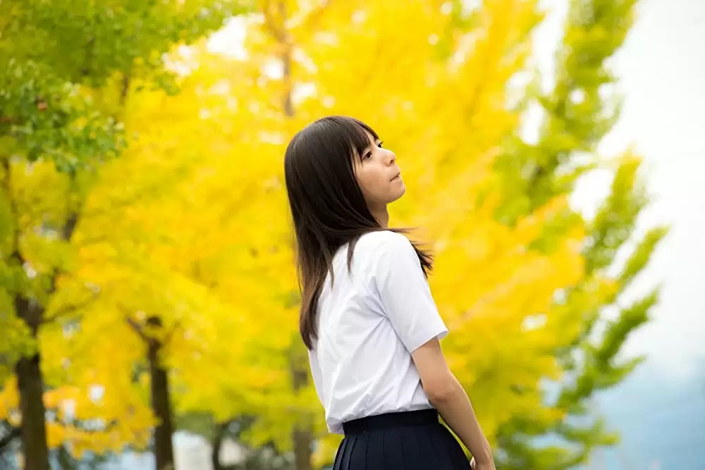 あの頃、君を追いかけたの画像