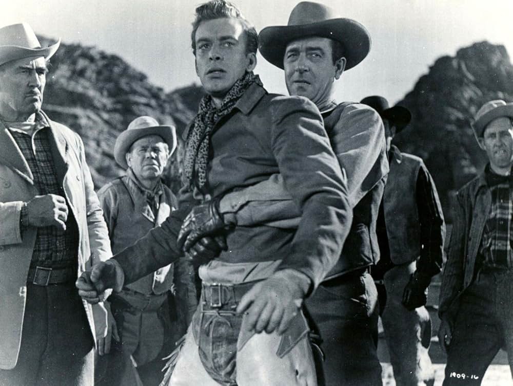 デンヴァーの狼の写真