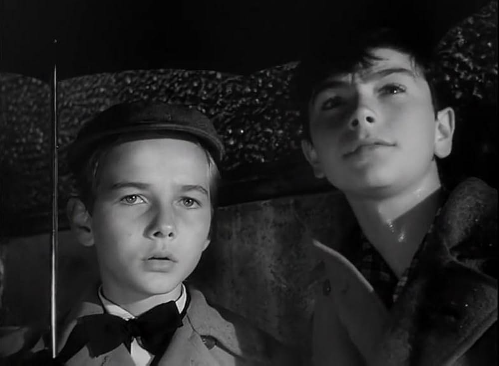 Amici per la pelle（原題）の写真