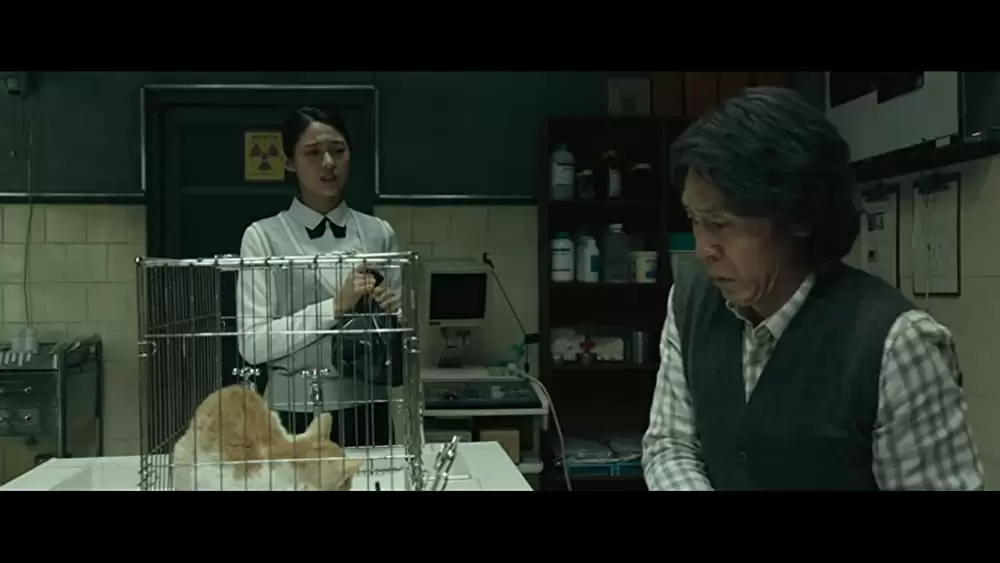 殺人者の記憶法の画像