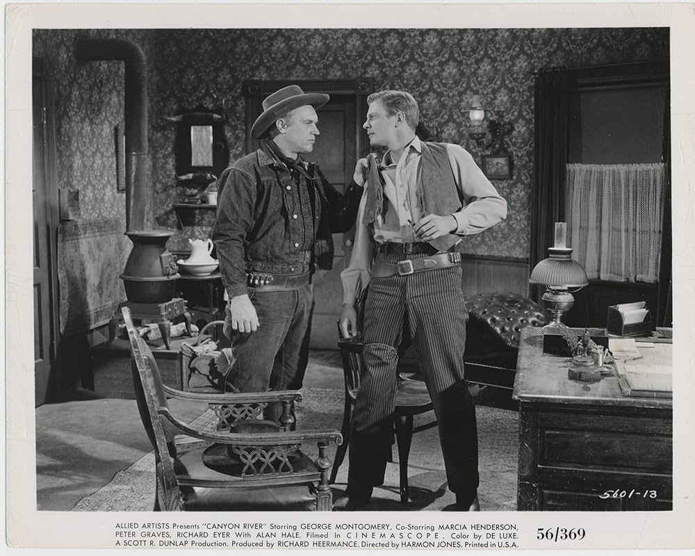 西部の血煙の写真