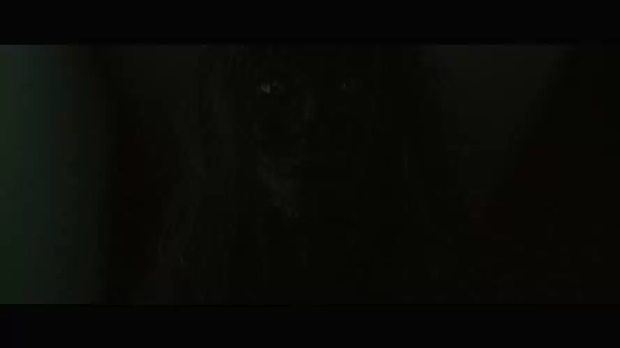 ワーニング その映画を観るなの画像