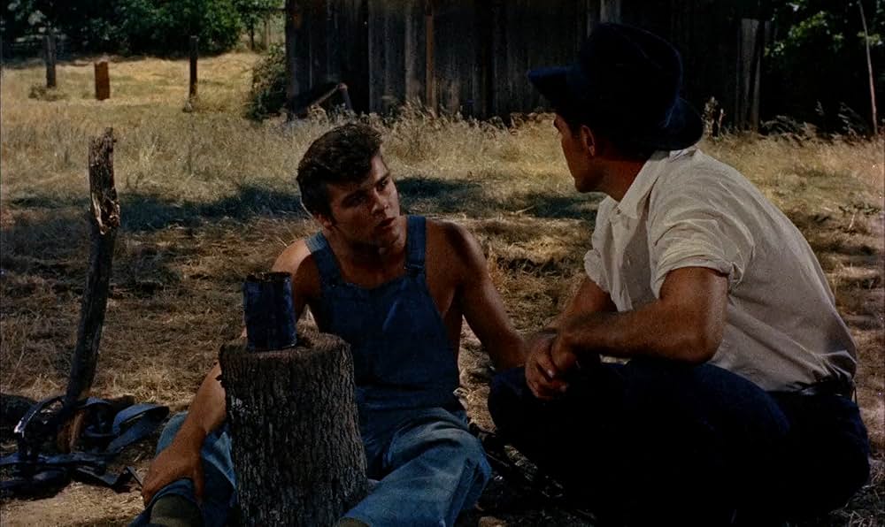 春来りなばの画像