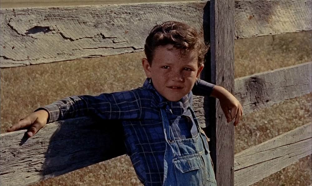 春来りなばの画像