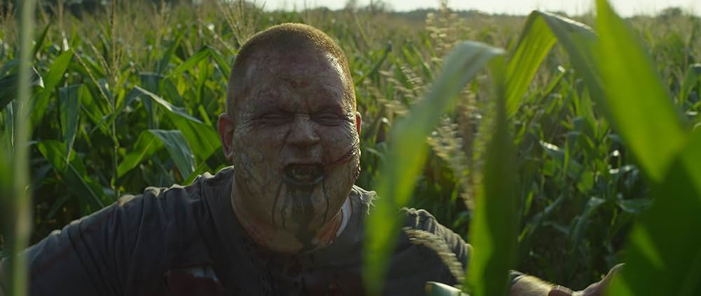 Strain 100（原題）の画像