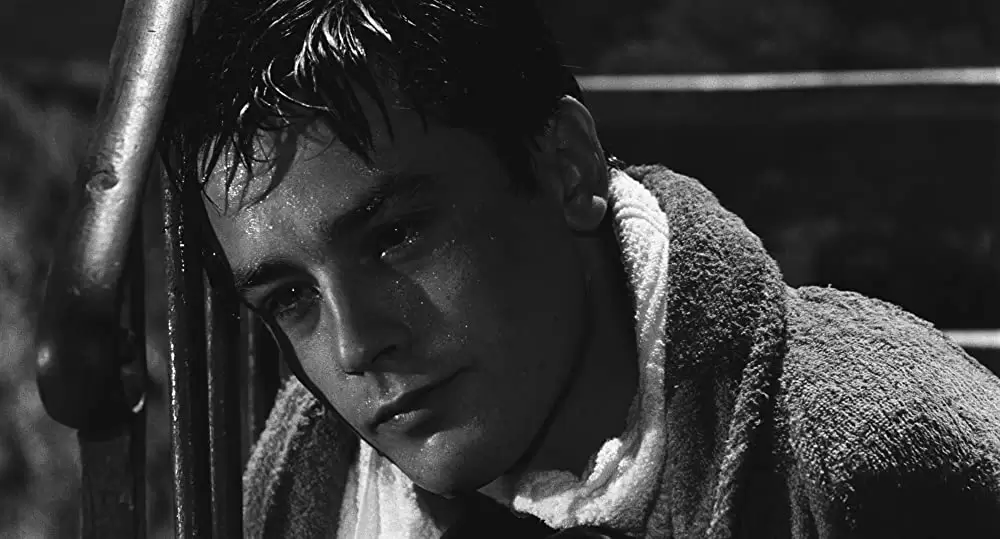 若者のすべての画像