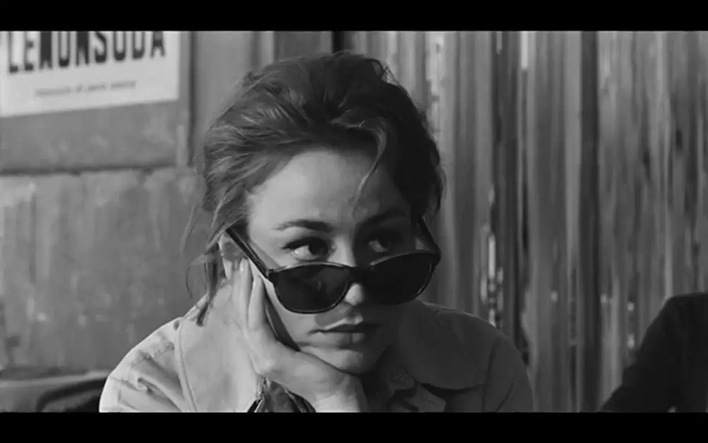 「若者のすべて」アニー・ジラルドの画像