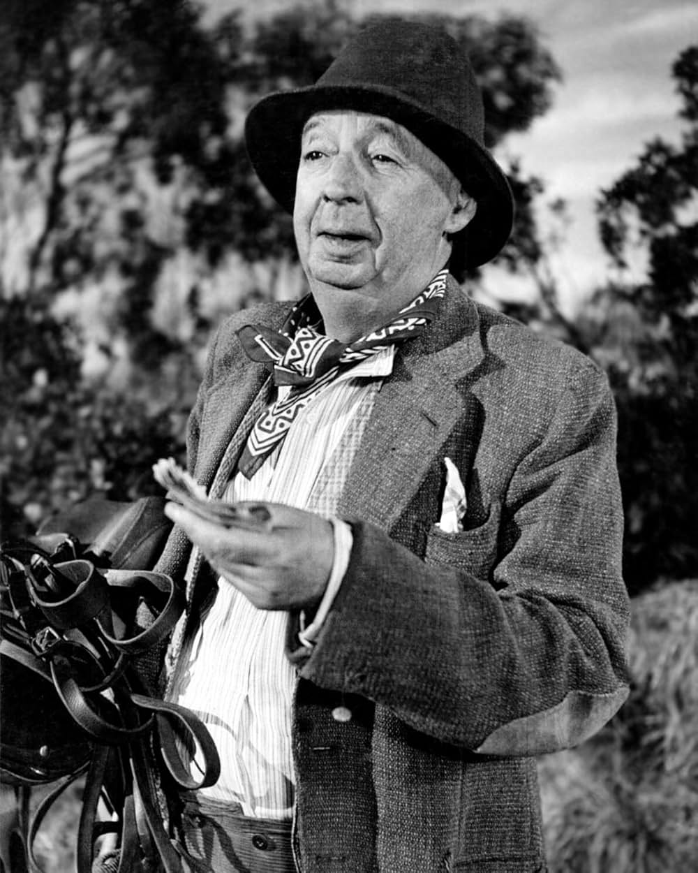 Dry Rot（原題）の写真