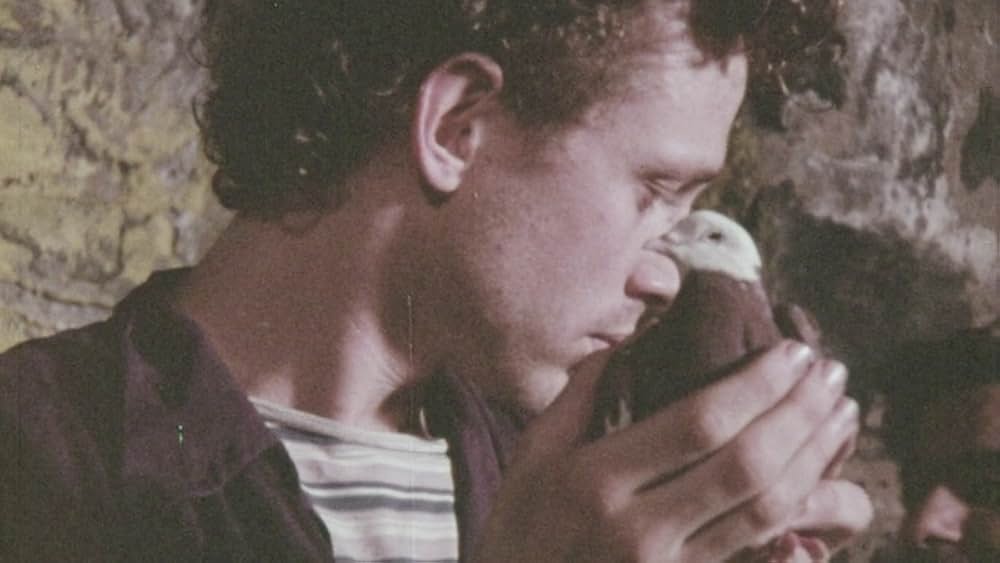 Lenz（原題）の写真