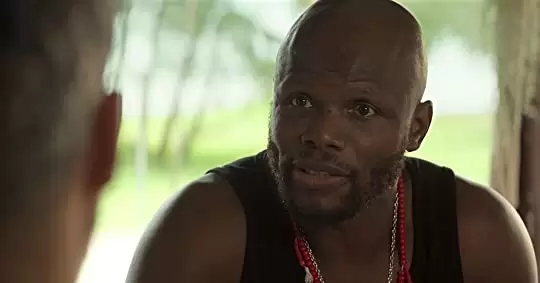 リベンジ・アイランドの画像