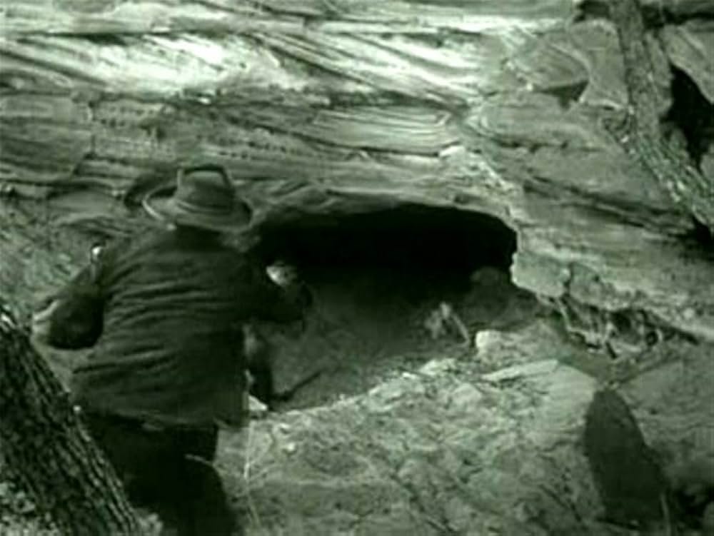 略奪者の群の画像