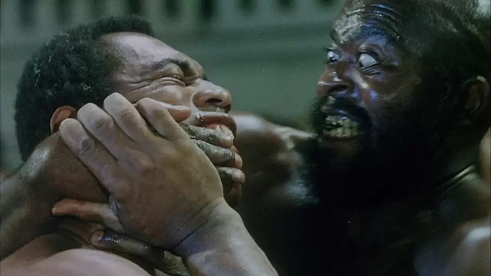 マンディンゴ デジタルリマスター版の画像