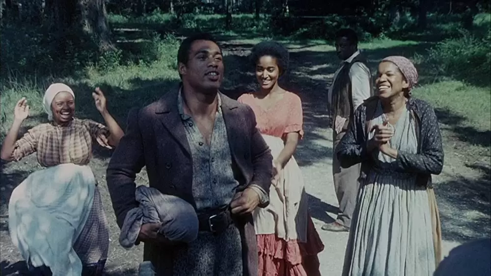 マンディンゴ デジタルリマスター版の画像