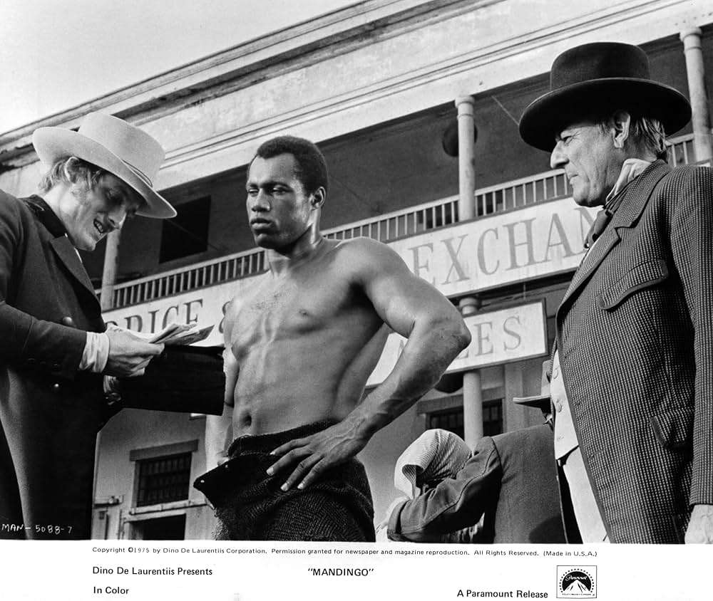 マンディンゴ デジタルリマスター版の画像