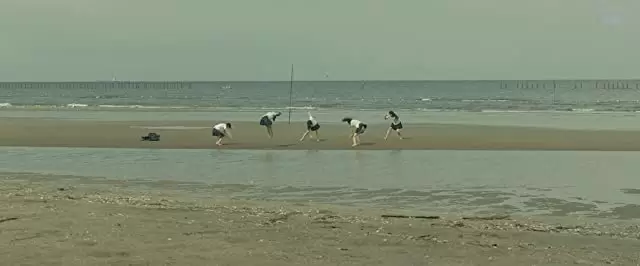 世界でいちばん長い写真の画像