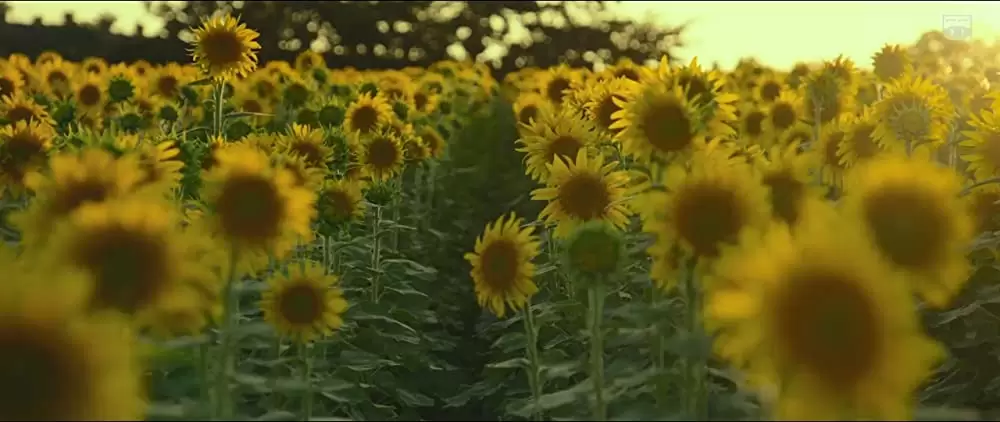 世界でいちばん長い写真の画像