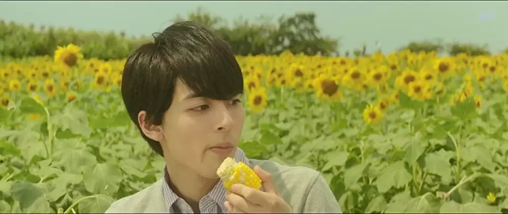 世界でいちばん長い写真の画像