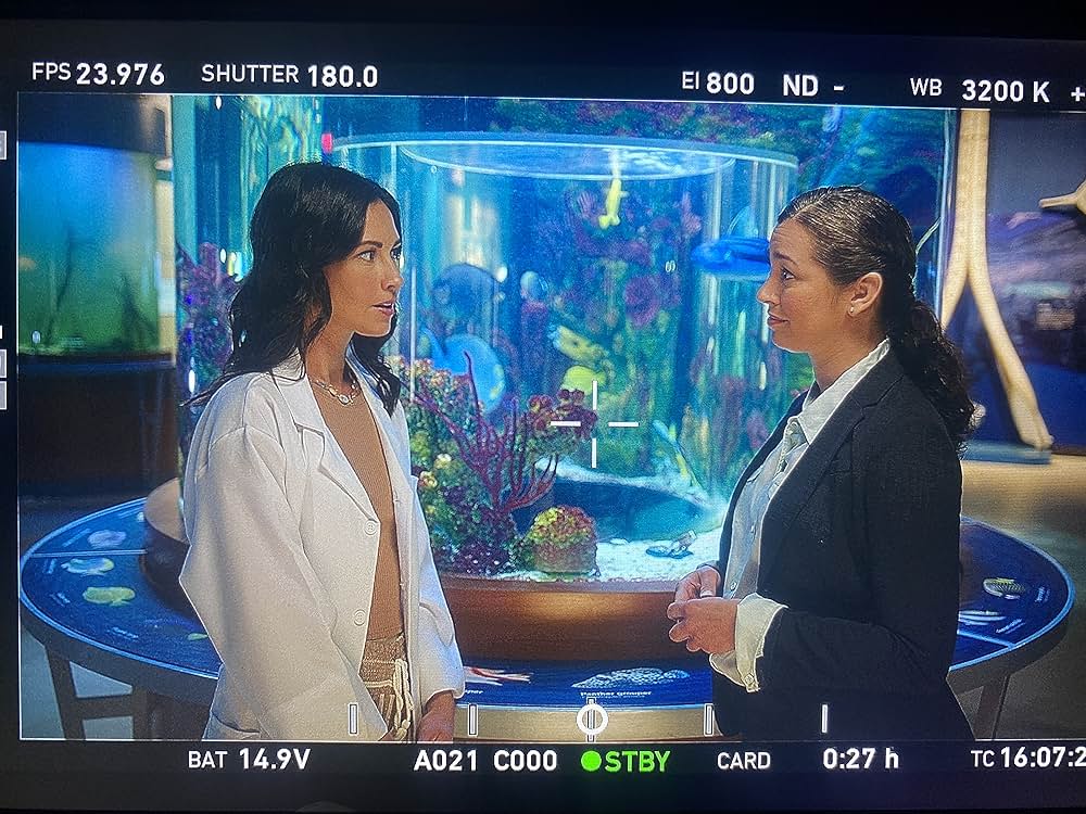 エバーブルー・ラブ 波間に咲いた約束の画像