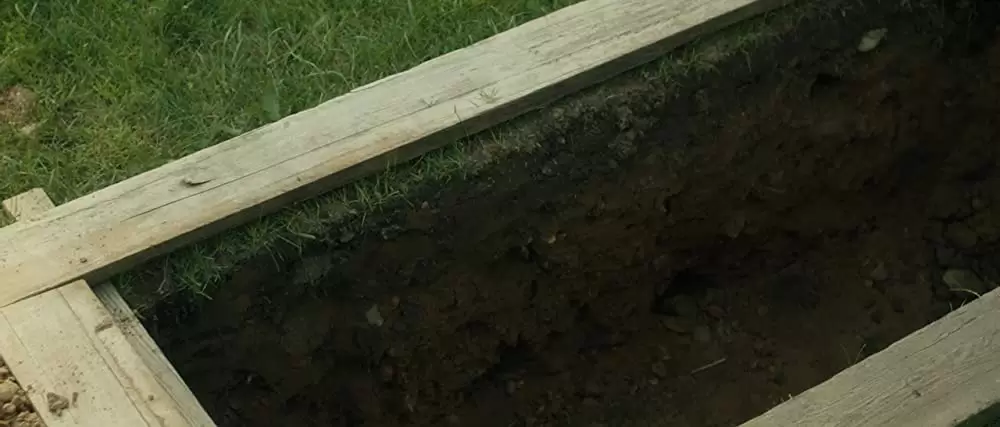 静かなる情熱 エミリ・ディキンスンの画像