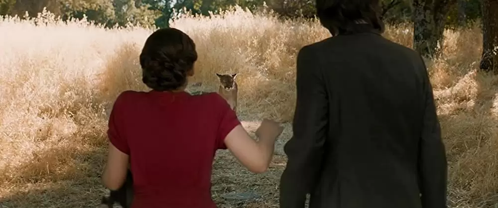 おとなの恋は、まわり道の画像