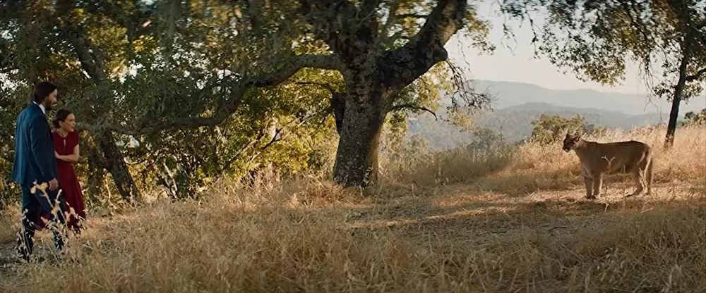 おとなの恋は、まわり道の画像