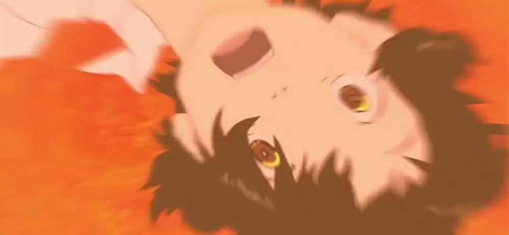 の写真
