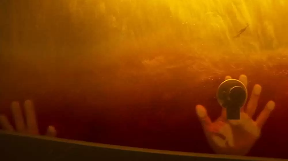 ディープ・ブルー2の画像