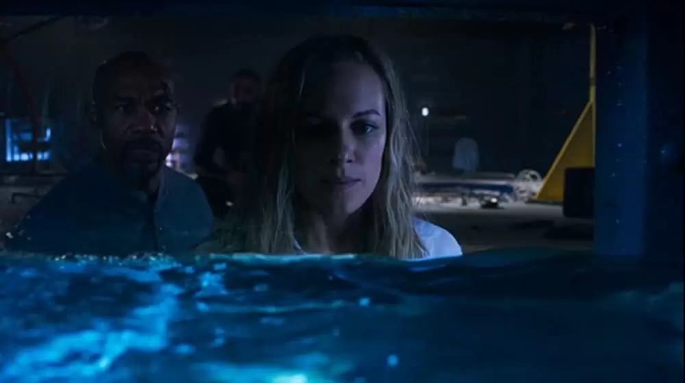 「ディープ・ブルー2」マイケル・ビーチ & Danielle Savreの画像