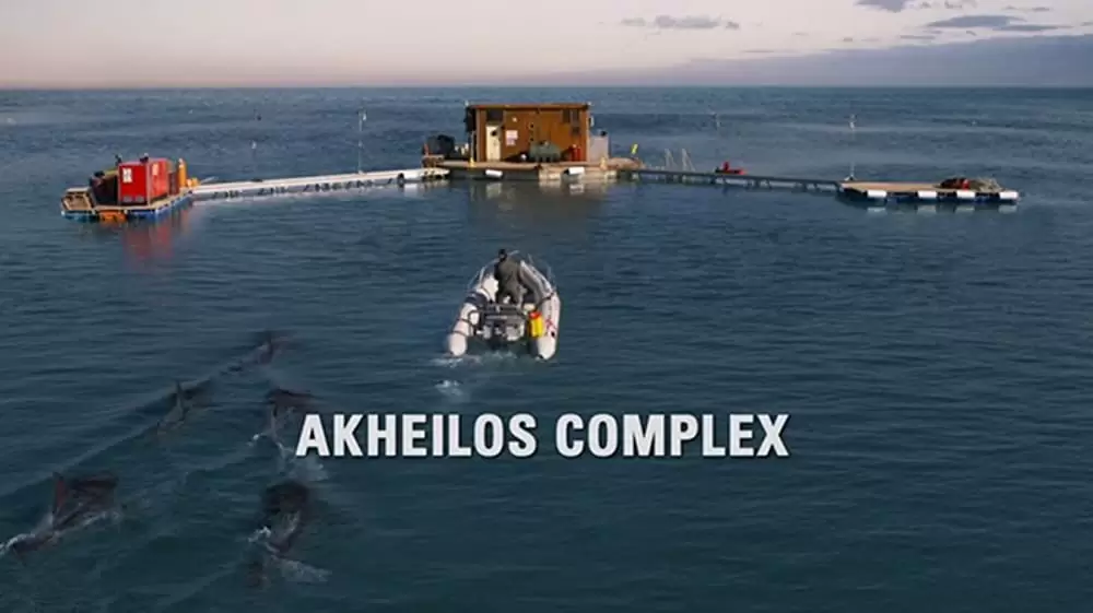 ディープ・ブルー2の画像