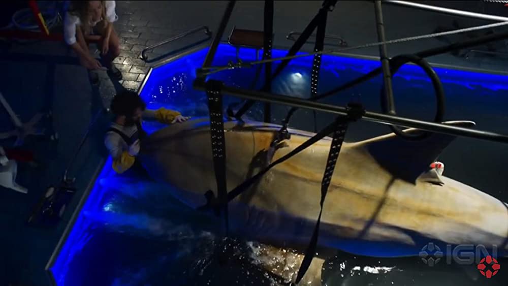 ディープ・ブルー2の画像