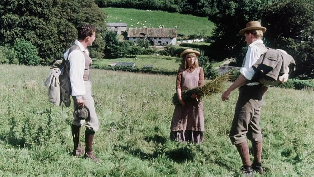 サマーストーリーの画像