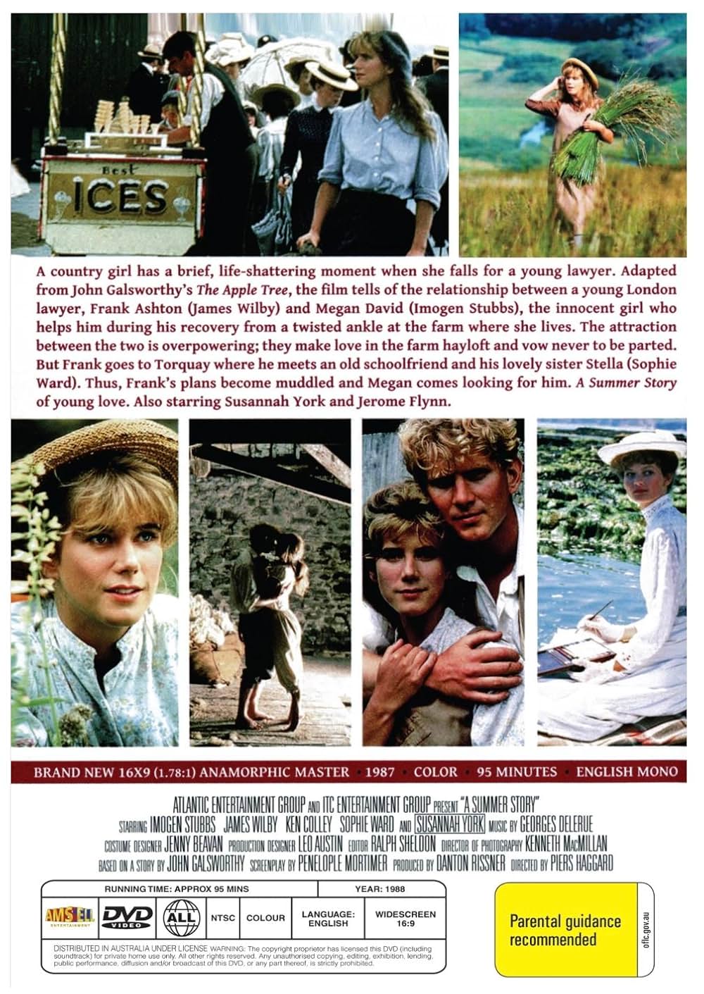 サマーストーリーの画像