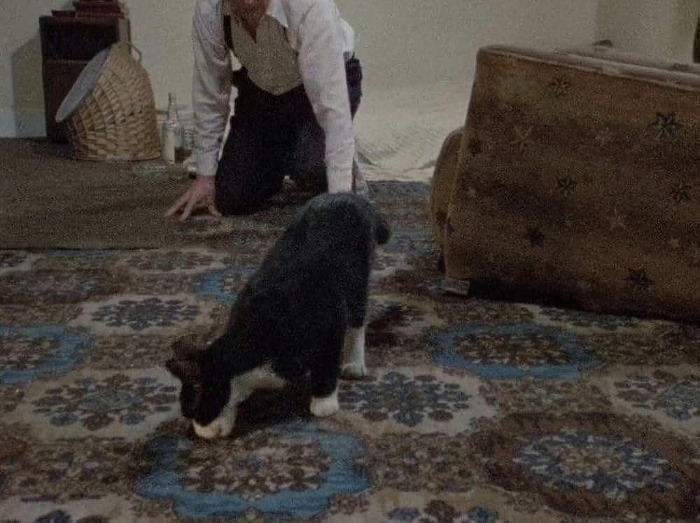 Cold Light of Day（原題）の画像