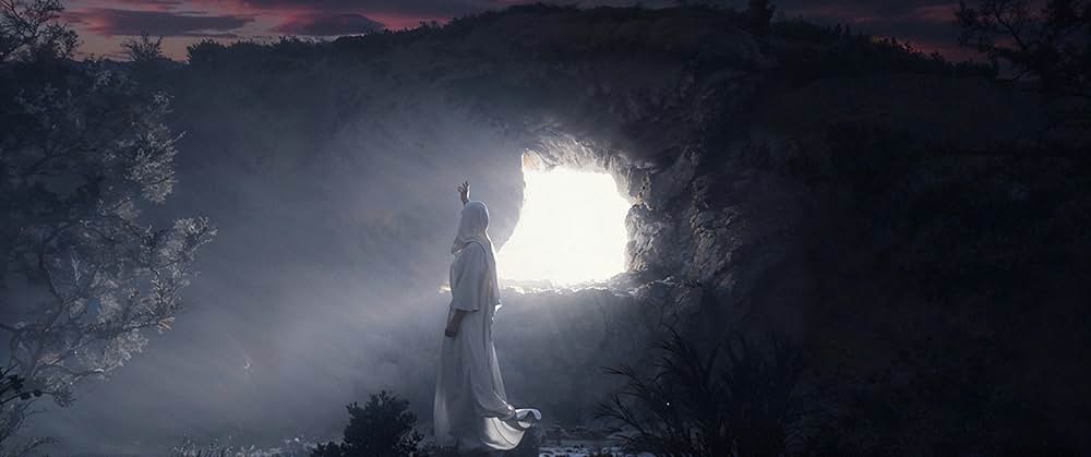 The Ark and the Darkness（原題）の写真