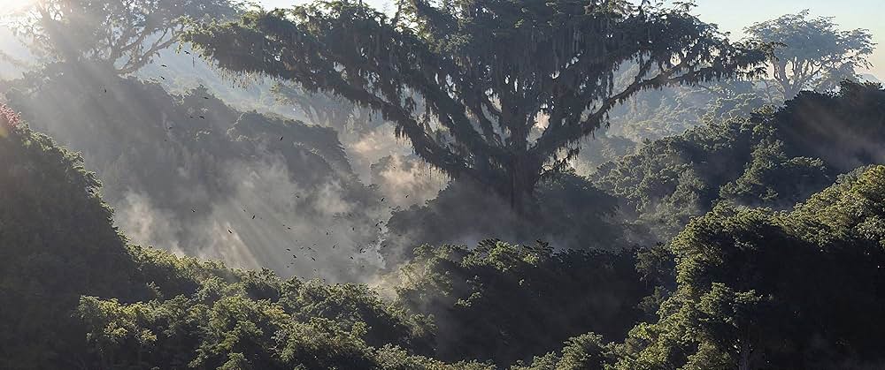 The Ark and the Darkness（原題）の画像