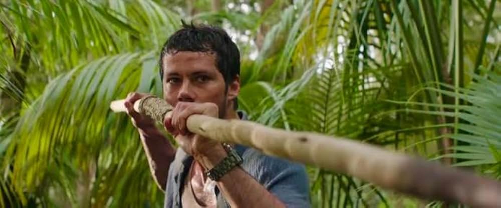 HELP/復讐島の画像