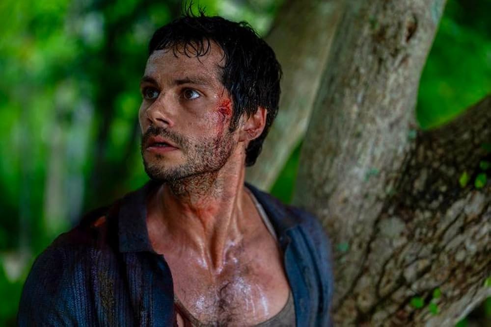 HELP/復讐島の画像