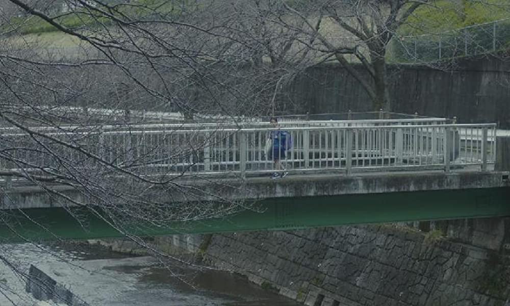 彼らが本気で編むときは、の画像