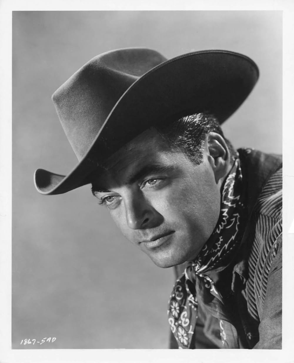 西部の渡り者の画像