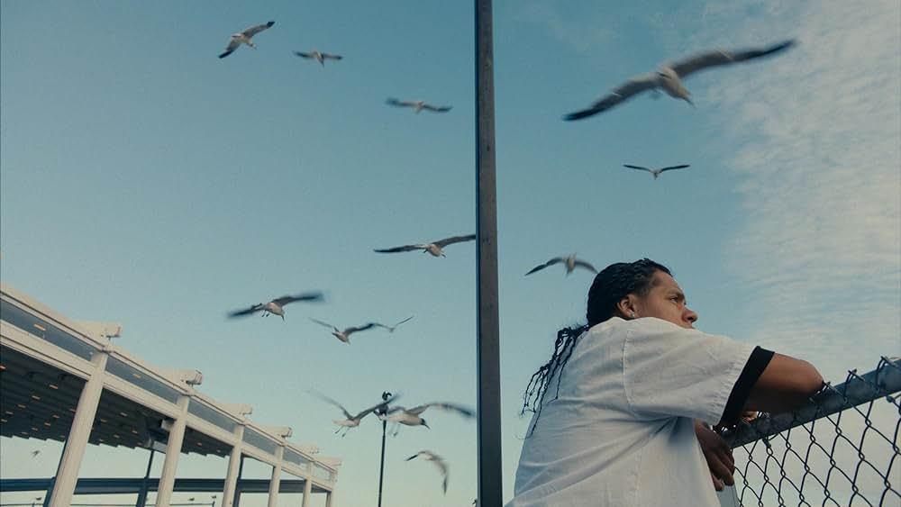 マッド・ビルズ・トゥ・ペイの写真